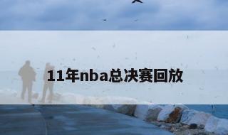 11年nba总决赛回放 NBA总决赛历届回放录像